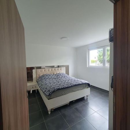 Bel Appartement Rez De Jardin Horbourg Eksteriør billede