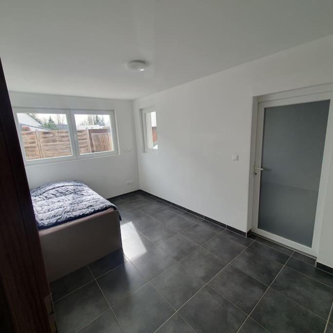 Bel Appartement Rez De Jardin Horbourg Eksteriør billede